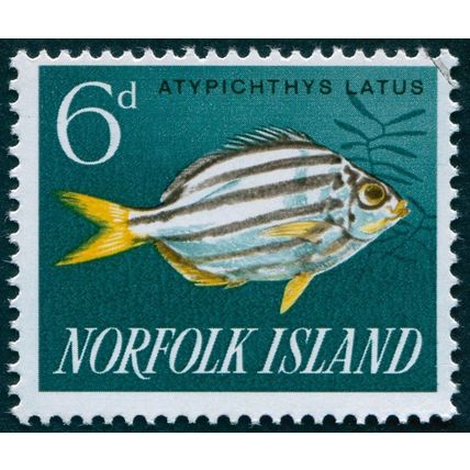 Norfolk Island 1962 6d Stripey SG43 CTO