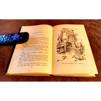 The Bobbsey Twins On A Houseboat 1955 By Laura Lee Hope Great Shape