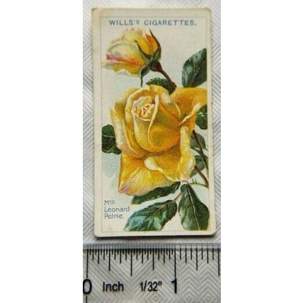 1914 Wills Roses 2nd Series No. 68 Mrs. Leonard Petrie