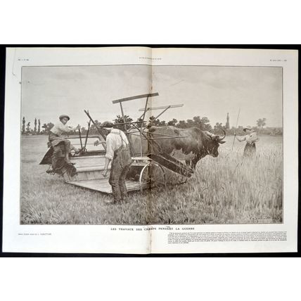 FIELD WORK DURING THE WAR 1915 Louis Rémy Sabattier FRANCE WORLD WAR I PRINT
