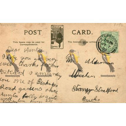 Bishops Road Gardens, Peterborough, Lincolnshire, Dainty Series Postcard, 1905