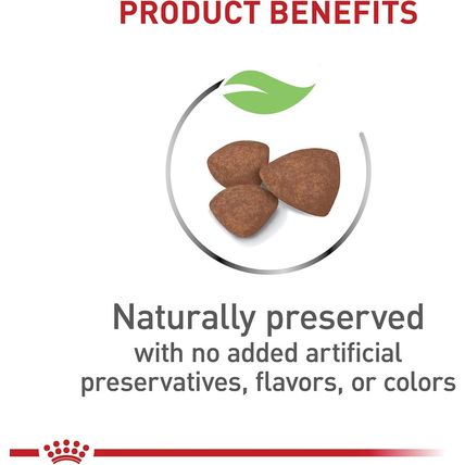 Royal Canin Size Health Nutrition Small Breed Dry Puppy Food, Supports Brain Dev