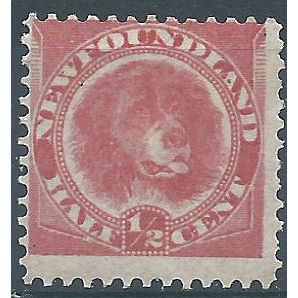 Newfoundland 1887 SG49 1/2c Rose-Red Mounted Mint .. ..