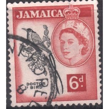 Jamaica 1956 - SG166 - 6d black/red - Streamertail (Doctor Bird) - used