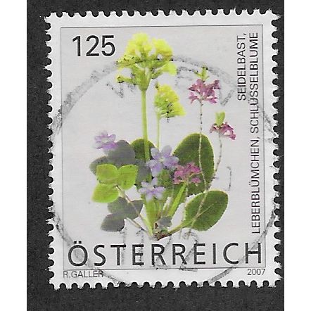 AUT 2007 125c 'FLORA DEFINITIVES ' FINE USED (EBID56-278)
