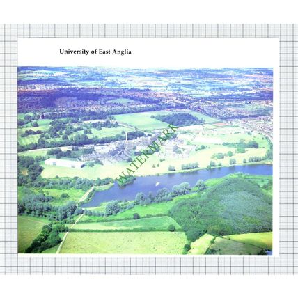 9914) University Of East Anglia Norfolk - 1980s Cutting / Print