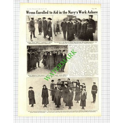 WRENS Dame Katherine Furse Haulkey World War One - 1918 Cutting / Print
