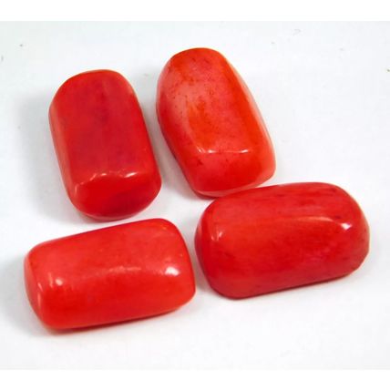 Natural 35.50 Ct Italian Red Coral "Cabochon" Cut Loose Gemstone Lot