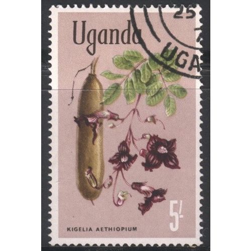 Uganda 1969 - SG143a - 5s multi - "Kigelia aethiopium" - used