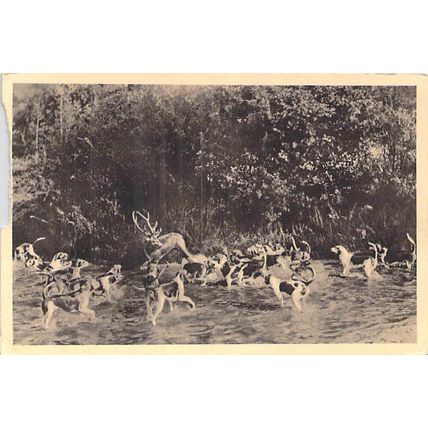 Cheverny Bat L'eau France Postcard unused damaged