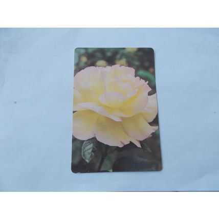 WEBBS GARDENING CARD / HYBRID ROSES (1) (21/06)