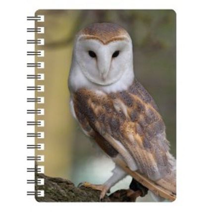 Pocket notebooks with 3D image of Owls 5 designs to choose from