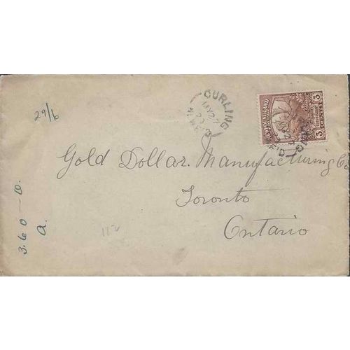 Newfoundland #117 1920 Curling split ring cancel, Cariboo