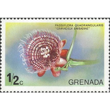 GRENADINES, FLOWER, Granadilla, Passiflora, green 1975, ½c, #3