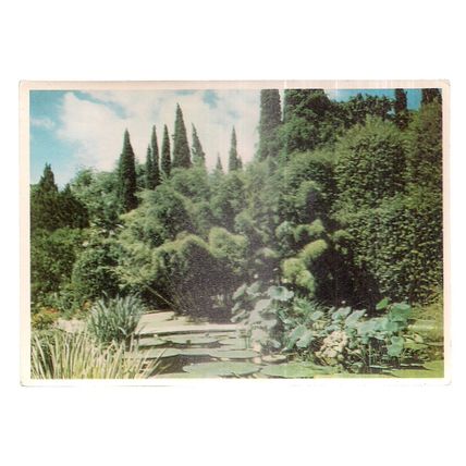 HEALTH RESORT, CRIMEA unused vintage postcard (b)