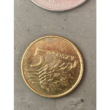Umlaufmünze Polen 5 Groszy 2005