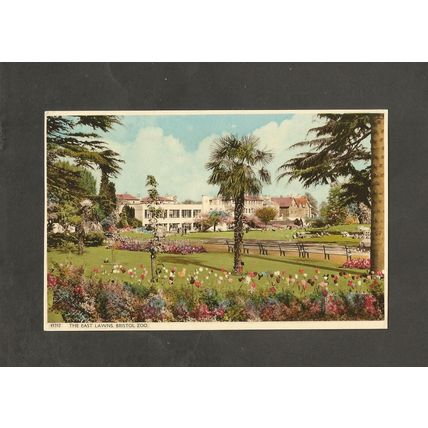 Postcard Bristol Zoo The East Lawns