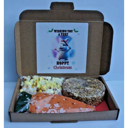 HOPPY CHRISTMAS RABBIT GIFT BOX FILLED WITH CAKE POPCORN AND BISCUITS
