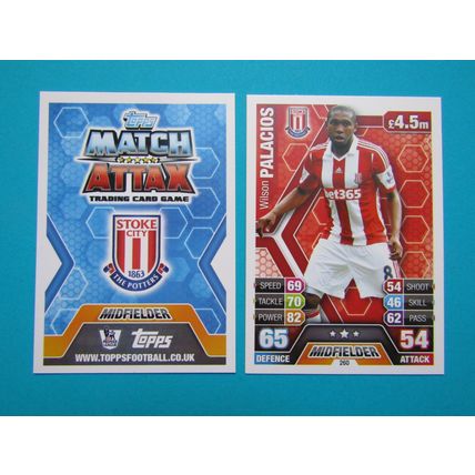260. Wilson Palacios - Stoke City - Match Attax 2013/14 Football Card EF1