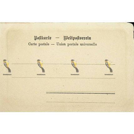 Mainz, Germany, Schwenzer Postcard, 1900