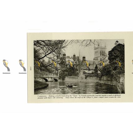 Cambridge, Trinity Gardens, Book Illustration, c1920