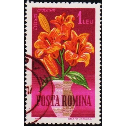 Romania. 1964 1L S.G.3139 Used