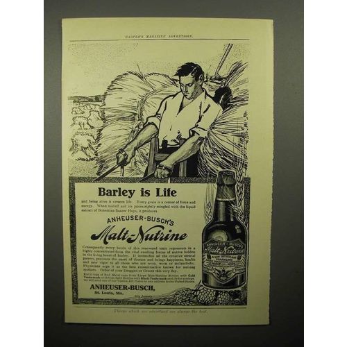 1908 Anheuser-Busch Malt-Nutrine Beer Ad - Barley is Life