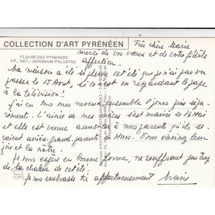 Pyrenees Flowers Postcard used VGC