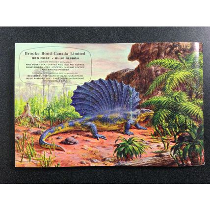 1963 Brooke Bond Album 5 Red Rose Tea 48 Cards Excellent Booklet Dinosaurs #2