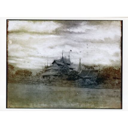 Tripe 01 Thomas Ruff German Photo Award Art V&A Postcard