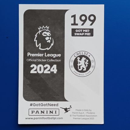 Djordje Petrovic #199 - Panini Premier League 2024 Rookie Sticker Chelsea 23/24