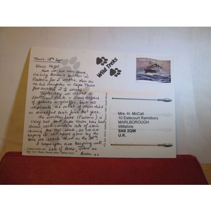 LIONESS AND CUB, SOUTH AFRICA used postcard =