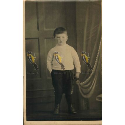Royal Looking Boy, Social History Postcard