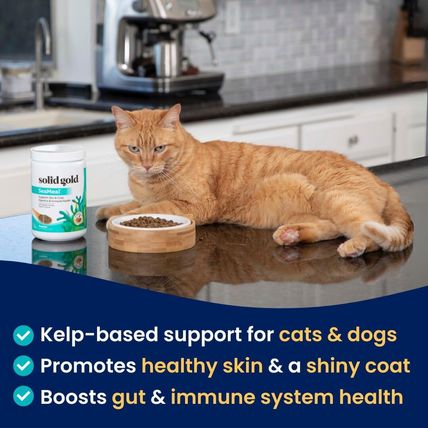 NEW! Solid Gold SeaMeal Cat & Dog Food Topper / Kelp Powder BB 8/2027 FREE Ship
