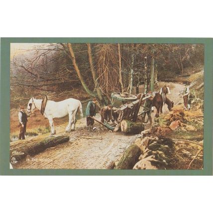 Postcard In the Woods Timber Wagon Accident Mishap Horse Raphael Tuck Nostalgia