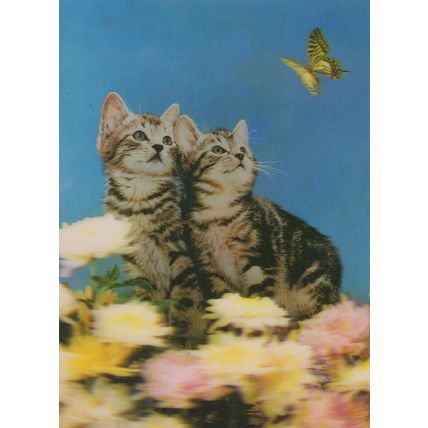 Kittens Cat Butterfly Japan Dubai 1970s Three Dimensional 3D Postcard