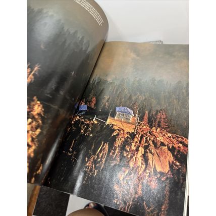 National Geographic Magazine July 2008 Who Murdered Mountain GorillasCollectable