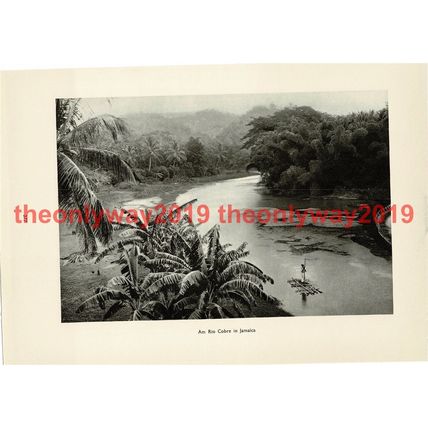 Rio Cobre, Jamaica, Book Illustration (Print), 1935