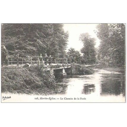 76 - MARTIN-EGLISE - Le chemin de la forêt