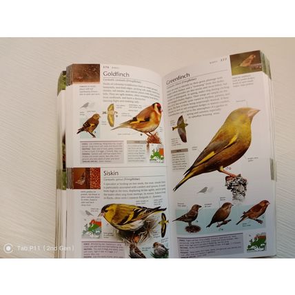 WILDLIFE OF BRITAIN POCKET NATURE BOOK. USED