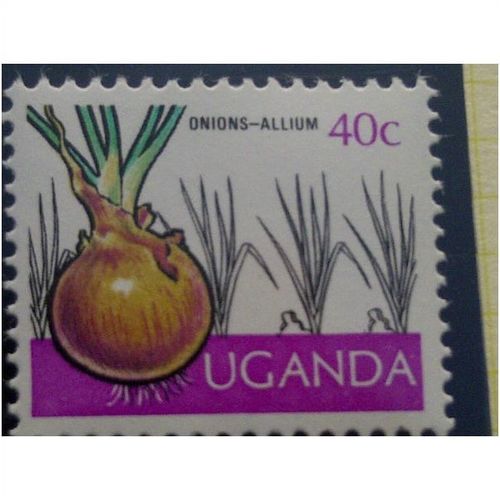 QEII Uganda 1975 Crops 40c Onions Unmounted Mint NHM SG 152 stamp