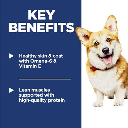 Hill'S Science Diet Adult 1-6, Adult 1-6 Premium Nutrition, Small Kibble, Dry Do