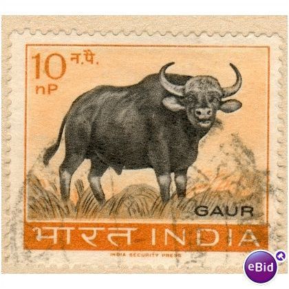 India 1963 - SG 472 - Gaur 10np - used