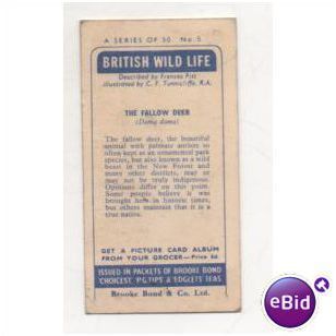 1958 Brooke Bond & Co. Ltd. Tea card British Wild Life No.5 The Fallow Deer