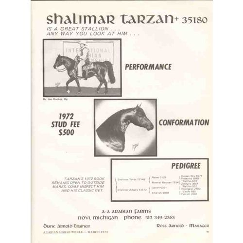 a-a arabian farms 1972 shalimar ross arnold tarzan novi mi vintage ad
