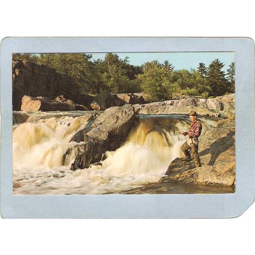 MN Pine City Postcard Greetings Pine City Minn Expecting Some Action state~106