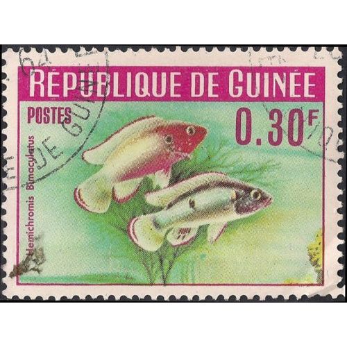 GUINEA, FISH, Jewelfish, rose 1964, 0.30F