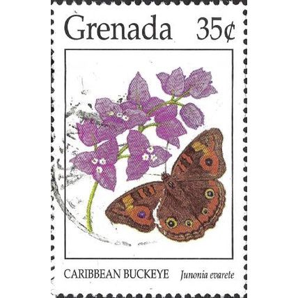 GRENADA, BUTTERFLY, Caribbean buckeye, Junonia evarete, white 1994, 35c