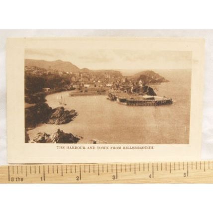 vintage postcard Harbour & Town from Hillsborough