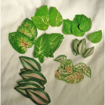 Artifical Fake Silk Leaves Greens Various Shapes Over 60 pcs Scrapbook Crafting